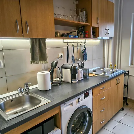 Ospitalier Student Grey - Spacious 2 Balcony Apartmán Temešvár