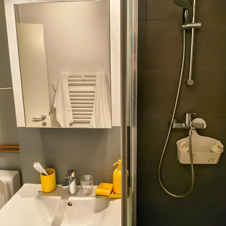 Ospitalier Student Grey - Spacious 2 Balcony Apartmán Temešvár