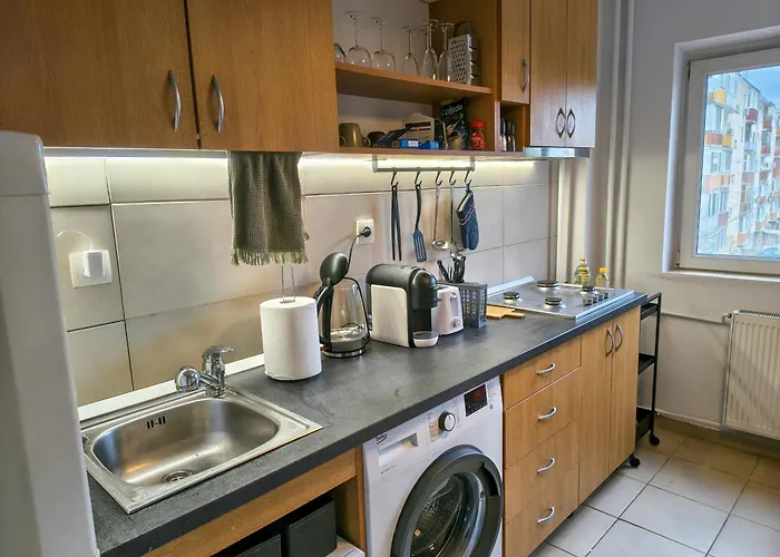 Ospitalier Student Grey - Spacious 2 Balcony Apartament Timişoara