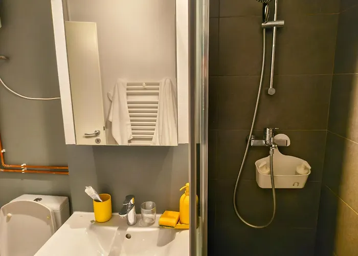 Ospitalier Student Grey - Spacious 2 Balcony Apartament Timişoara